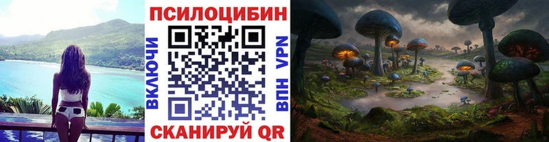 Псилоцибиновые грибы мицелий Кимовск