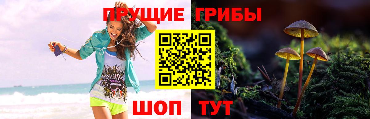 Кимовск  Галлюциногенные грибы GOLDEN TEACHER  Вход с VPN 